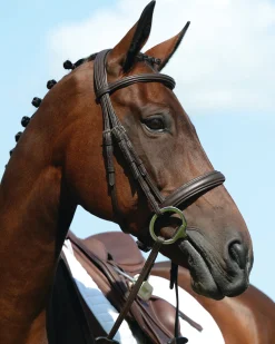 WEATHERBEETA Collegiate® Syntovia+ Padded Raised Caveson Bridle Hot