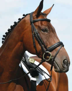WEATHERBEETA Collegiate Syntovia+ Padded Raised Flash Bridle Sale