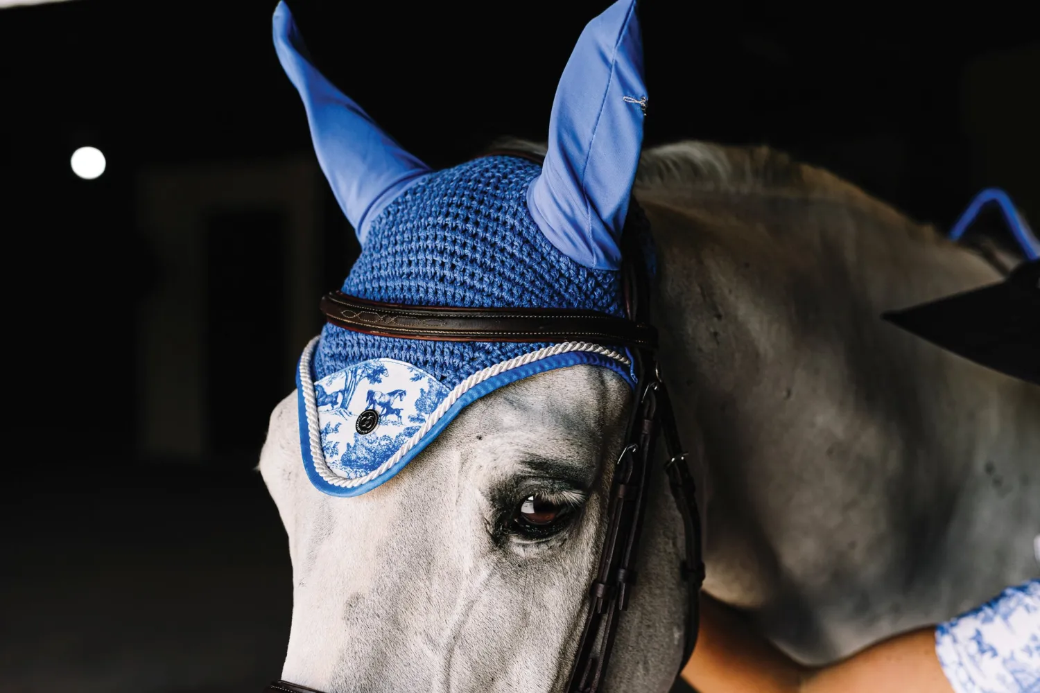 JPC EQUESTRIAN Dapplebay Equestrian Toile Fly Veil Online