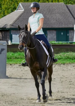 KIRSCH Dover Saddlery® Ladies’ Notch-V Stripe Short Sleeve Shirt