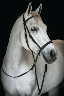 BITLESS BRIDLE Dr. Cook's Beta BitlessBridle™ Discount