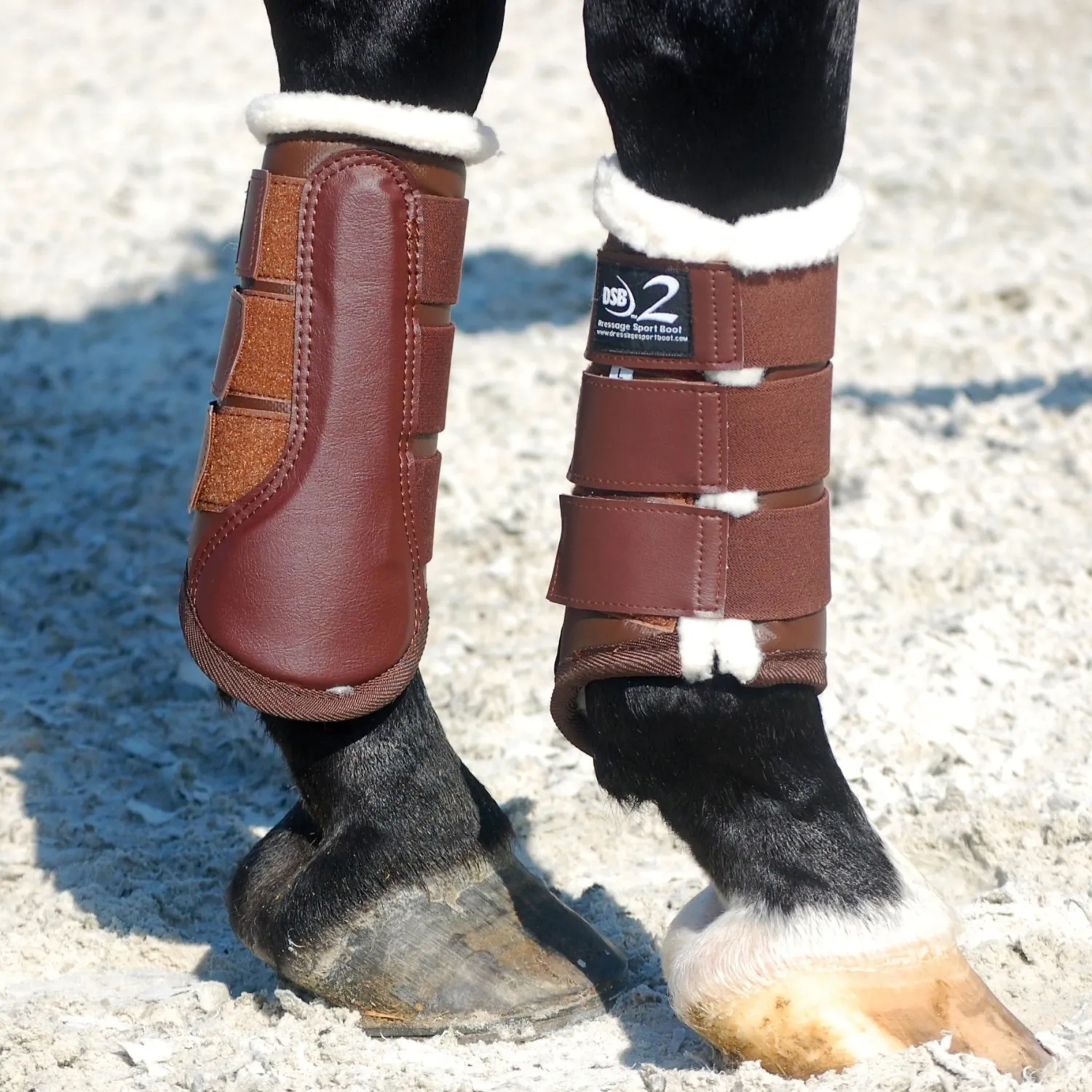 DRESSAGE SPORT BOOTS 2 Discount