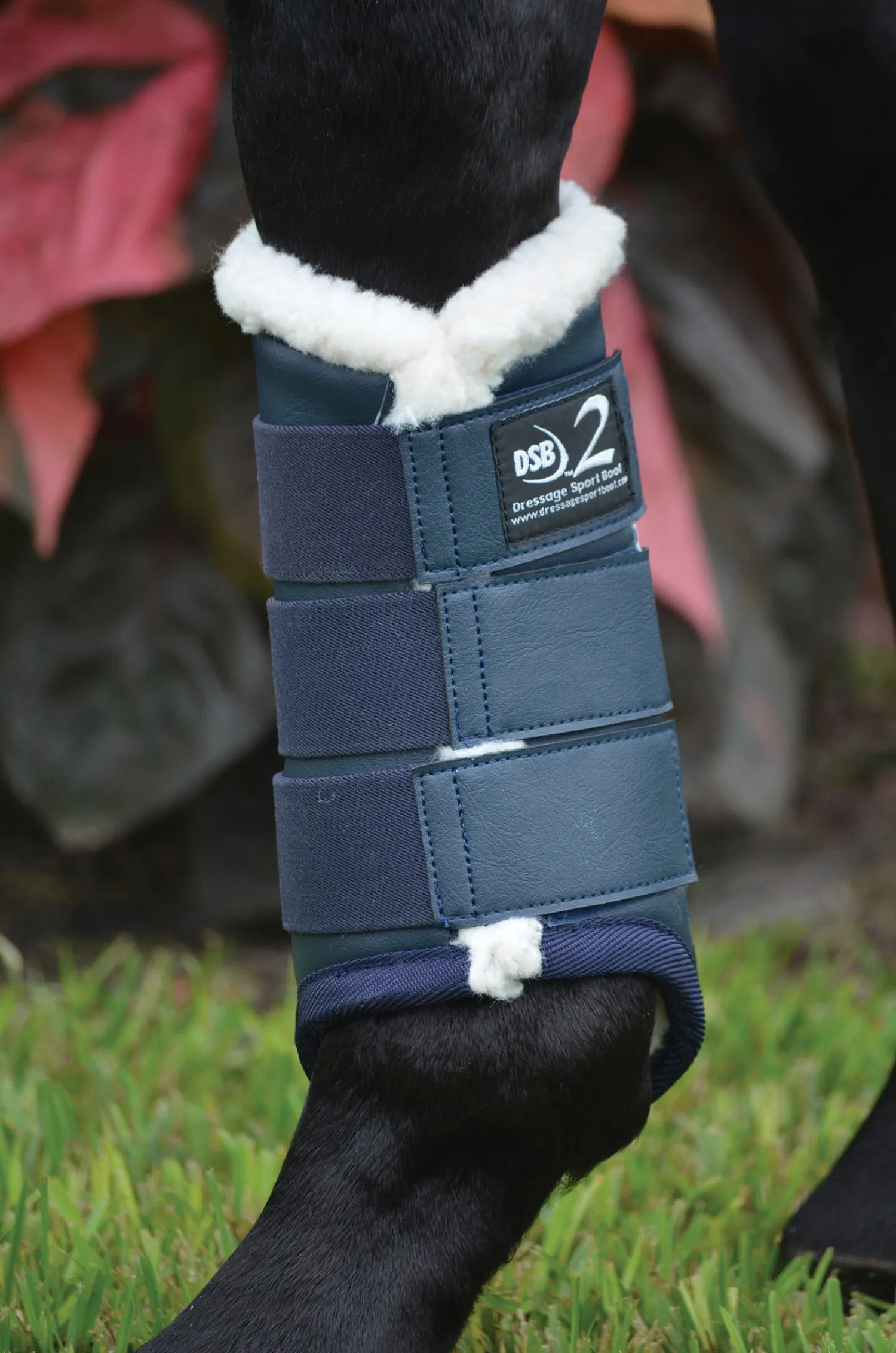 DRESSAGE SPORT BOOTS 2 Discount