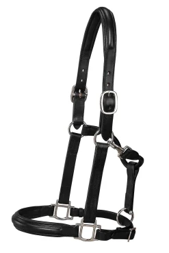 HARMOHN KRAFT DS Classic Plain Raised Padded Halter