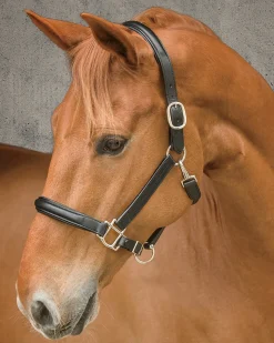 HARMOHN KRAFT DS Classic Plain Raised Padded Halter