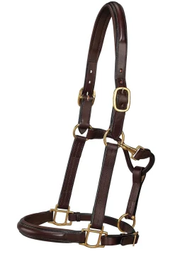 HARMOHN KRAFT DS Classic Plain Raised Padded Halter