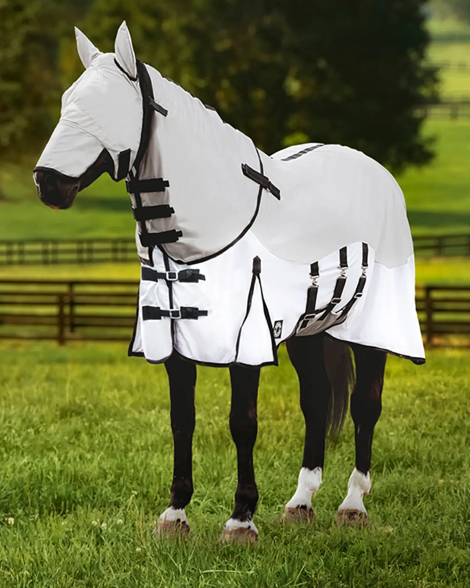 KARTIKEYA INTL DS Fly Combo Sheet Silver/White Discount