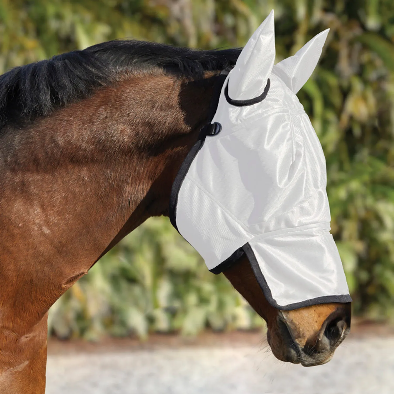 KARTIKEYA INTL DS Fly Combo Sheet Silver/White Discount