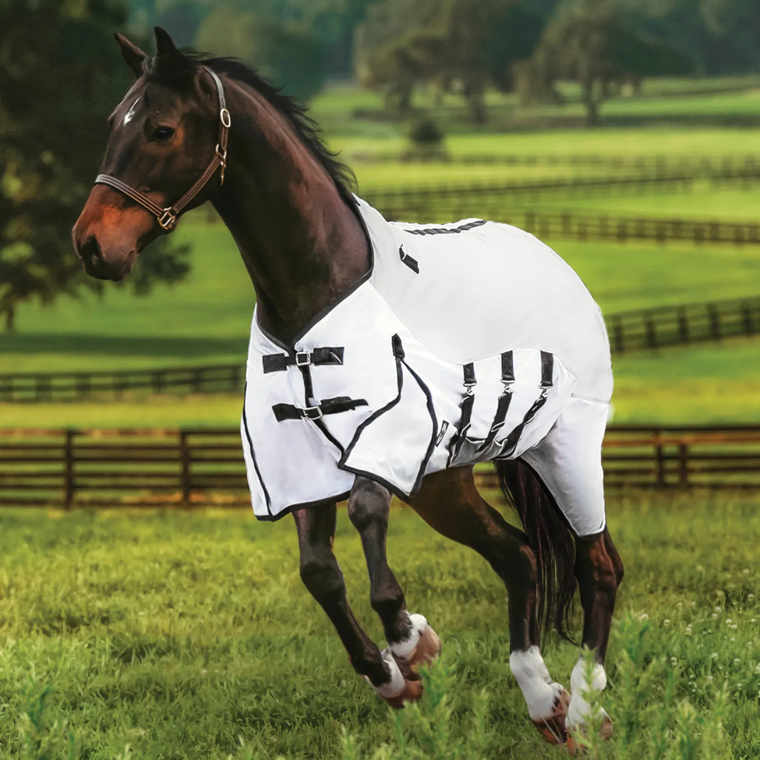 KARTIKEYA INTL DS Fly Combo Sheet Silver/White Discount