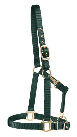 ZEETA INTERNATIONAL DS Heavy Nylon Halter Best