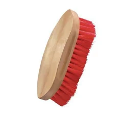 KING YOUNG DS Wood-Back Medium-Stiff Brush Hot