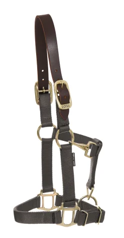 ZEETA INTERNATIONAL DS Heavy Nylon Breakaway Halter Best