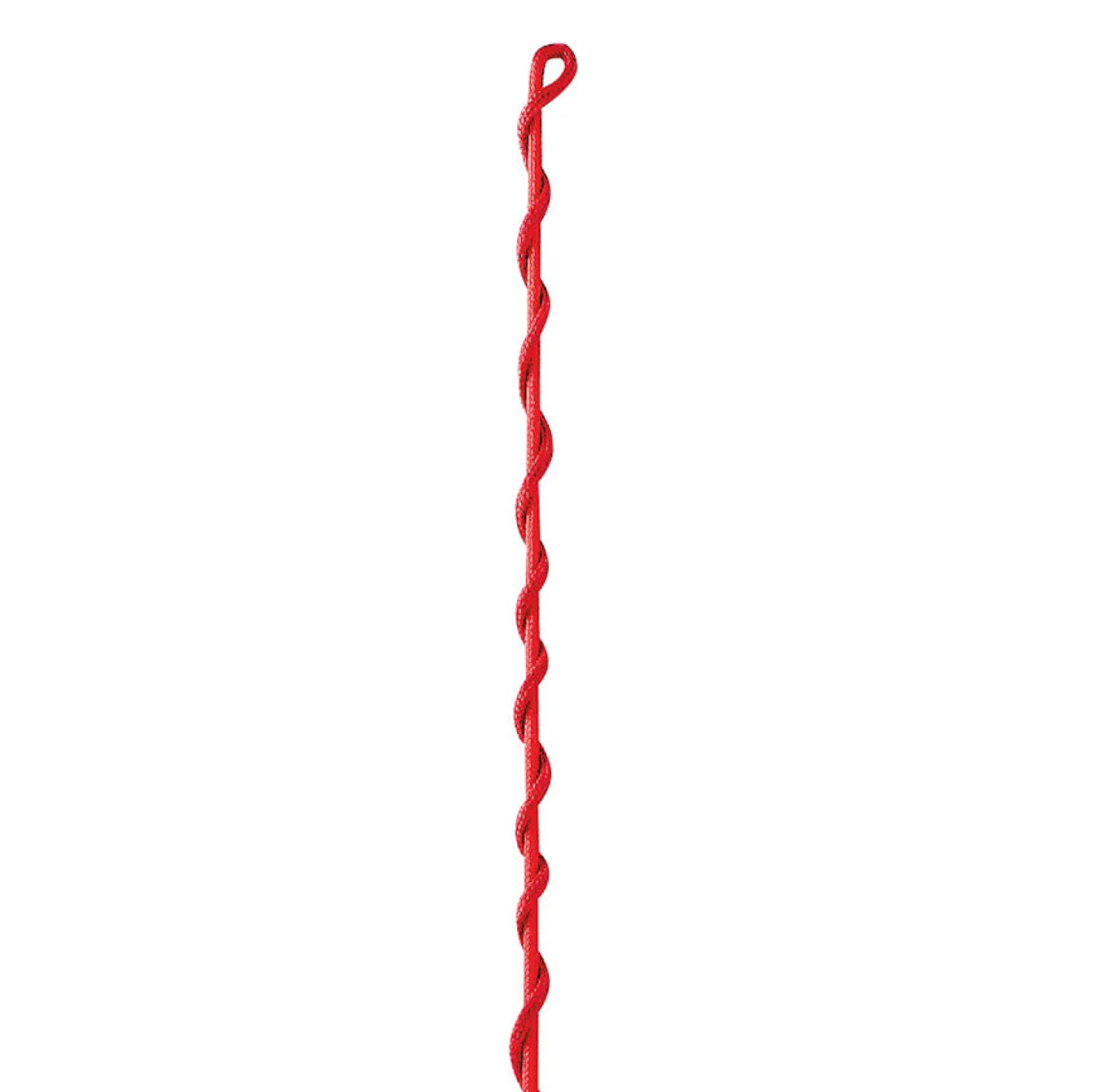 WEATHERBEETA Dublin® Nylon Lunge Whip
