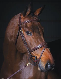 KENTUCKY HORSEWEAR Dy'on® Anatomic Bridle Brown Online