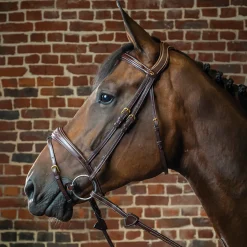 KENTUCKY HORSEWEAR Dy'on® Anatomic Bridle Brown Online