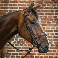 KENTUCKY HORSEWEAR Dy'on® Anatomic Bridle Brown Online