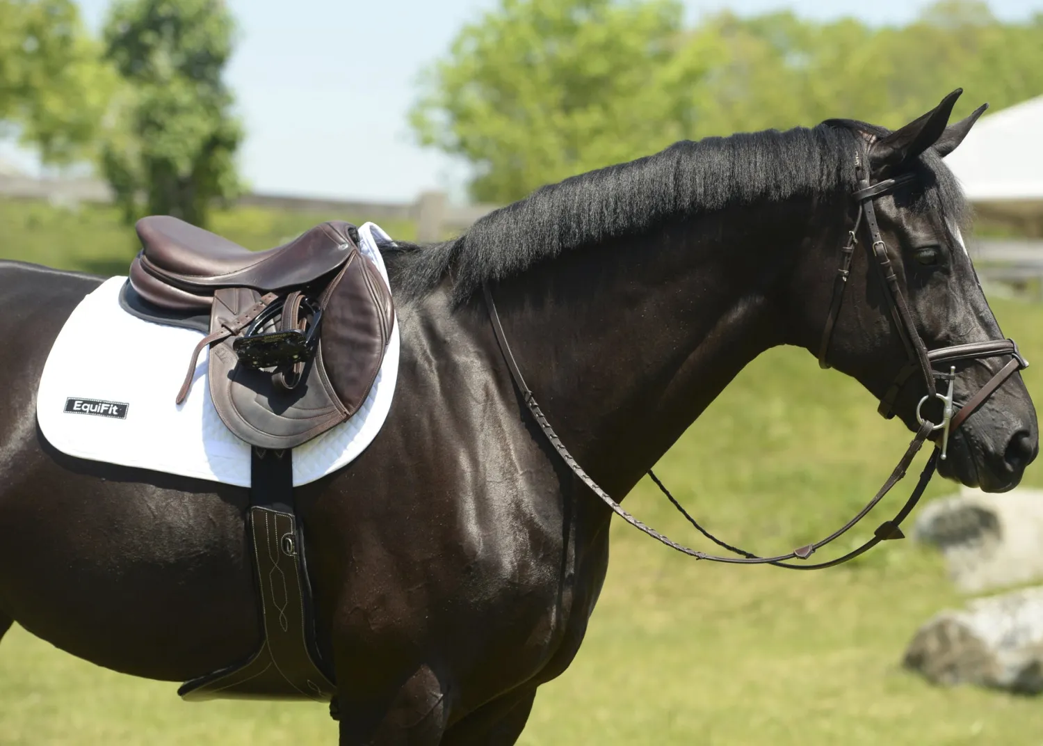 EQUIFIT ® Anatomical BellyGuard Girth with SheepsWool™ T-Foam Liner Brown/Black Hot