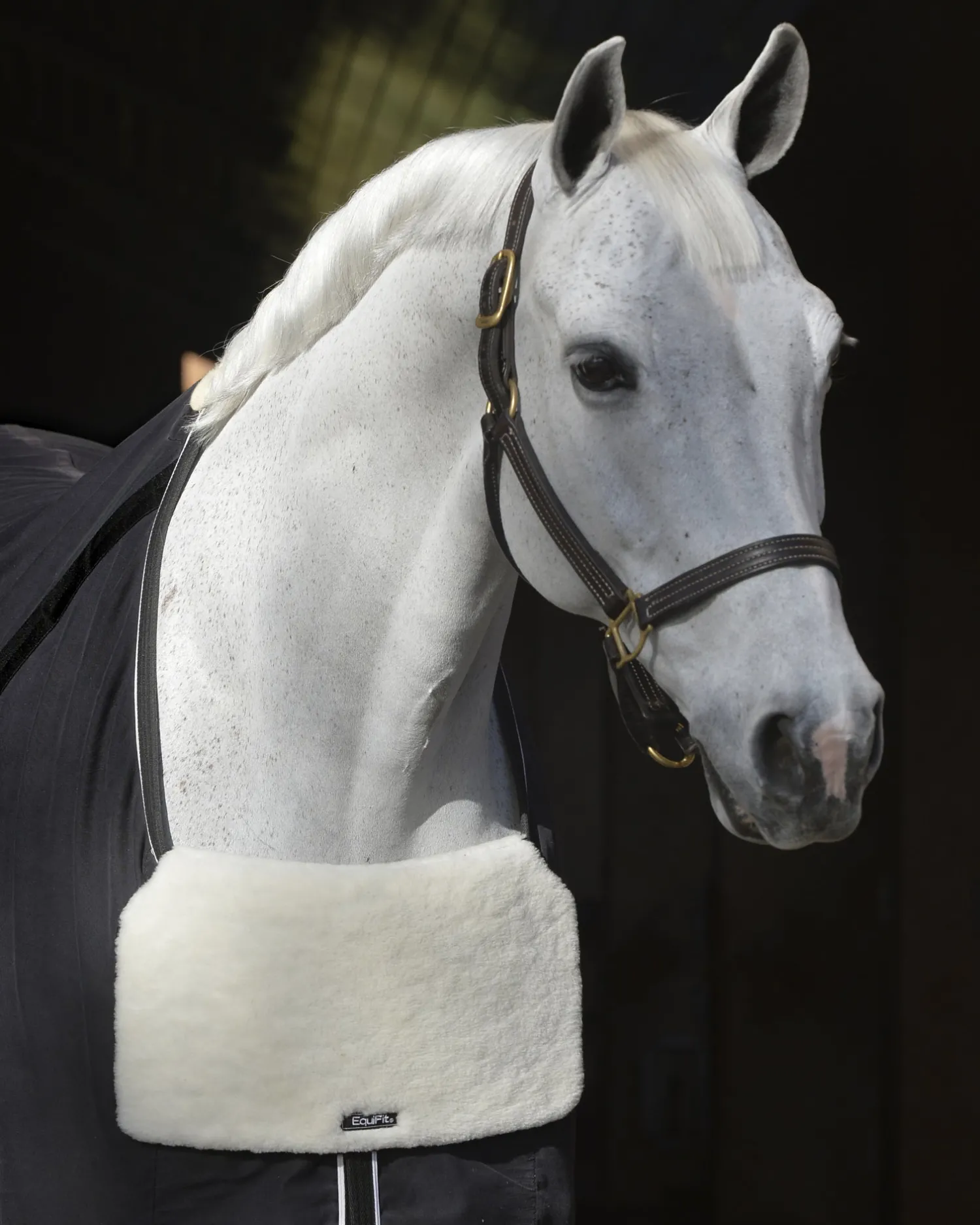 EQUIFIT ® BlanketBib Clearance