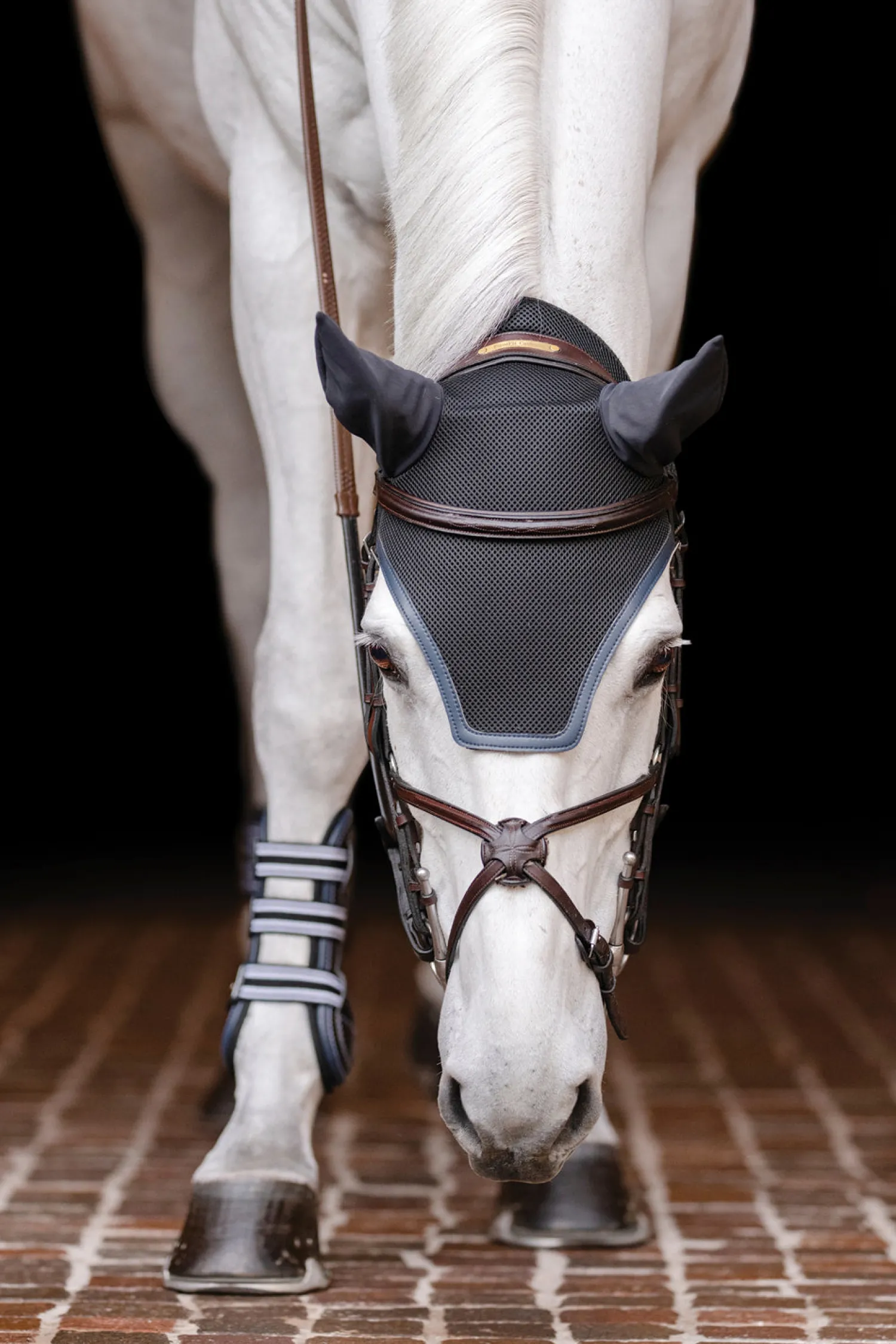 EQUIFIT ® Ear Bonnet with Colored Trim and No Logo Outlet