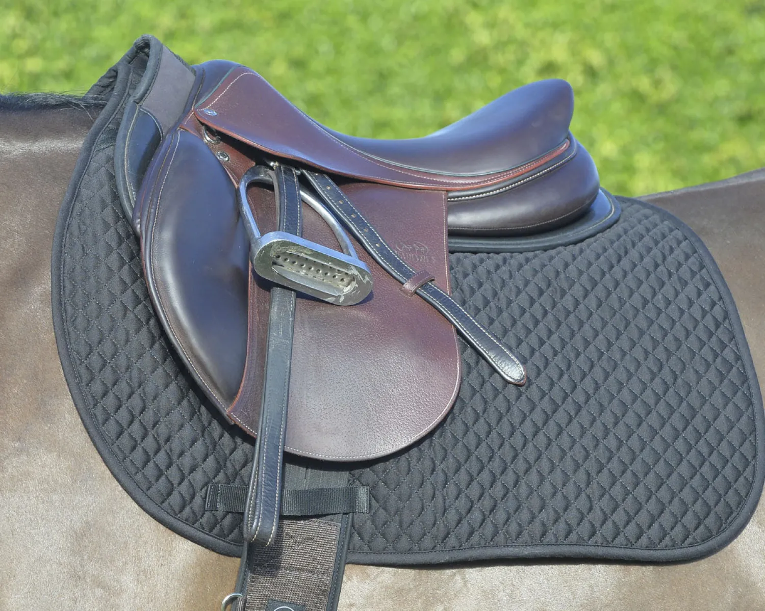 EQUIFIT ® Essential Dressage Pad