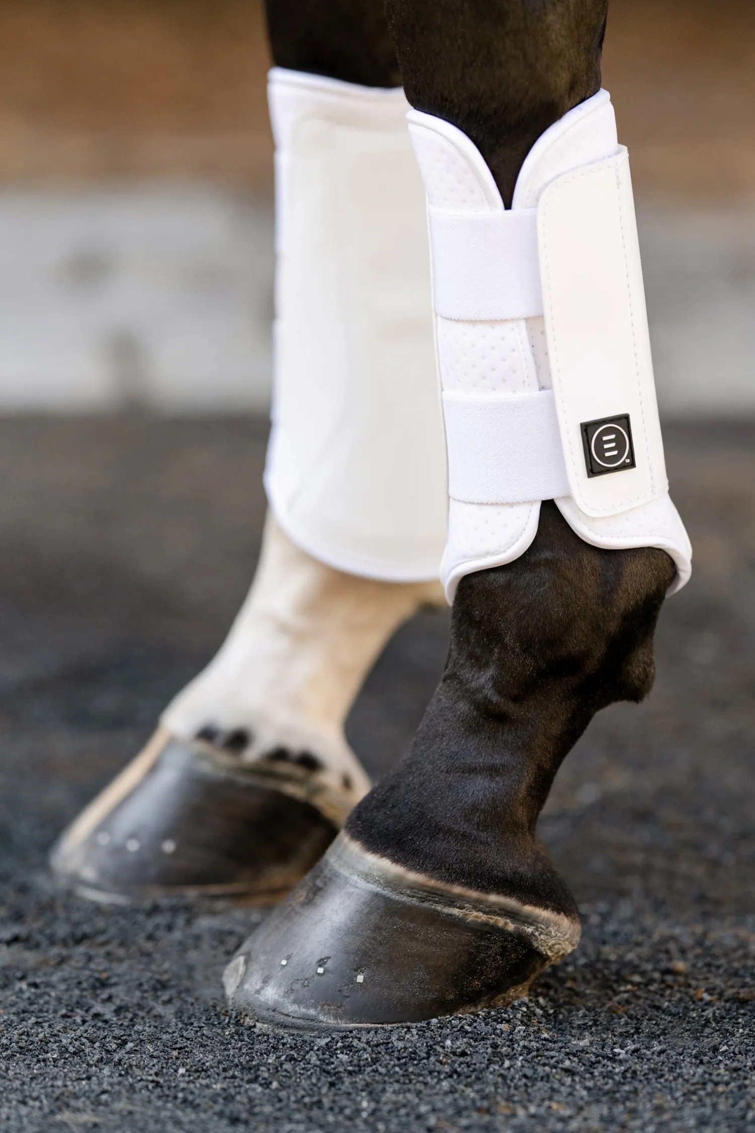 EQUIFIT ® Essential EveryDay Front Boot Online
