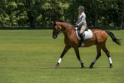 EQUIFIT ® MultiTeq Front Boots New