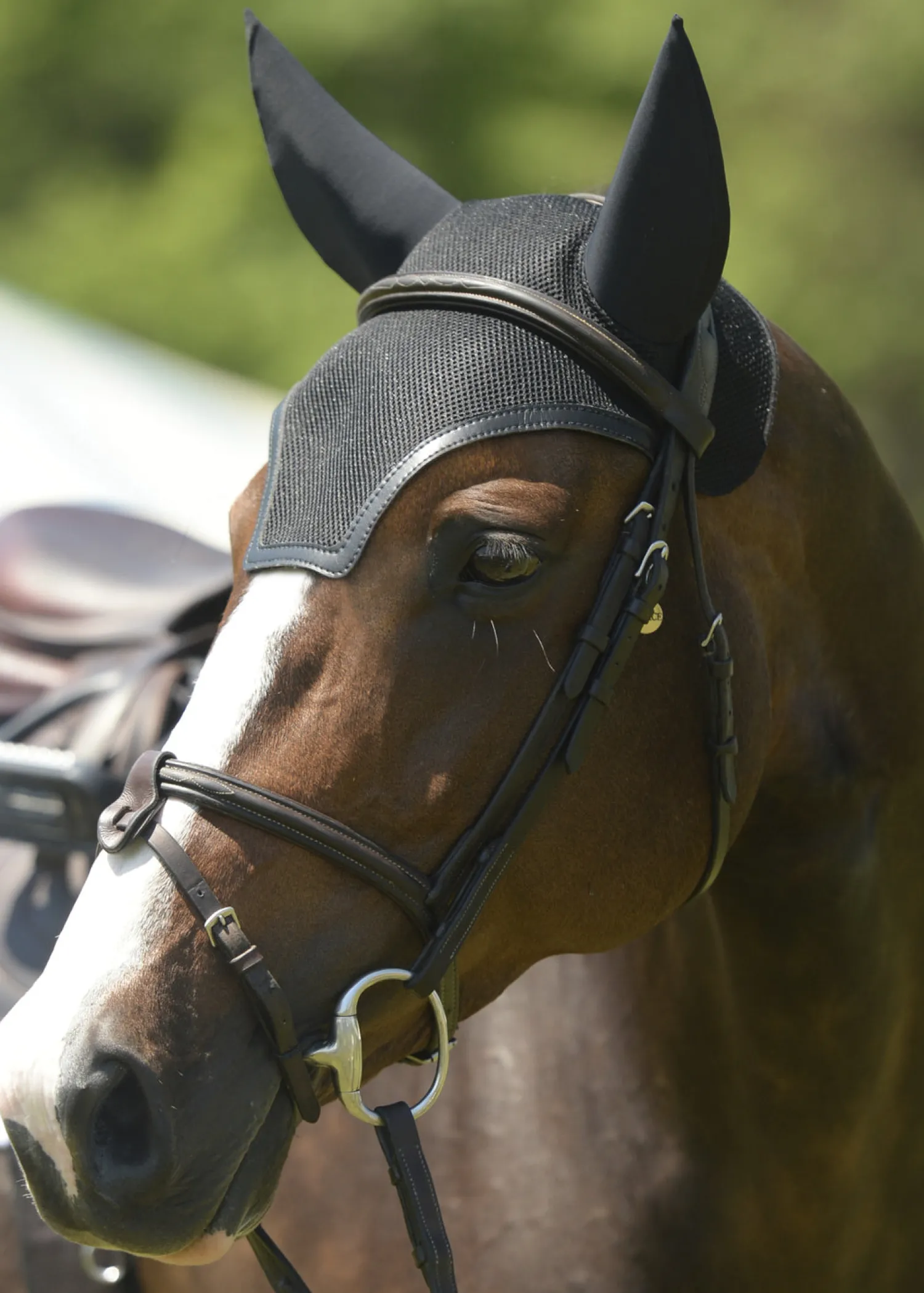 EQUIFIT ® SilentFit™ Ear Bonnet Clearance