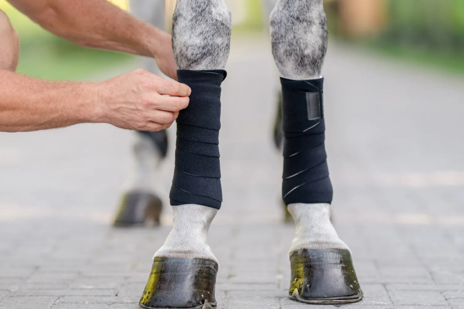 EQUIFIT ® T-Sport Wraps™ New