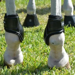 EQUIFIT ® Young Horse Boots with ImpacTeq® Hot