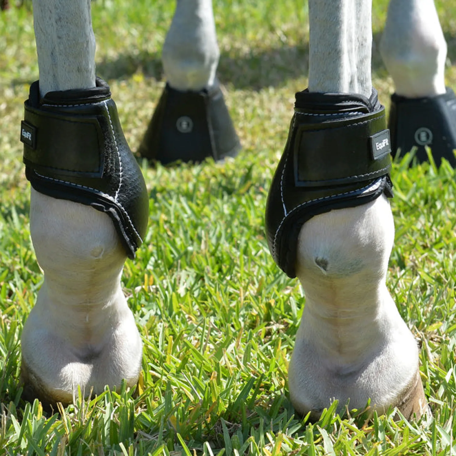 EQUIFIT ® Young Horse Boots with ImpacTeq® Hot
