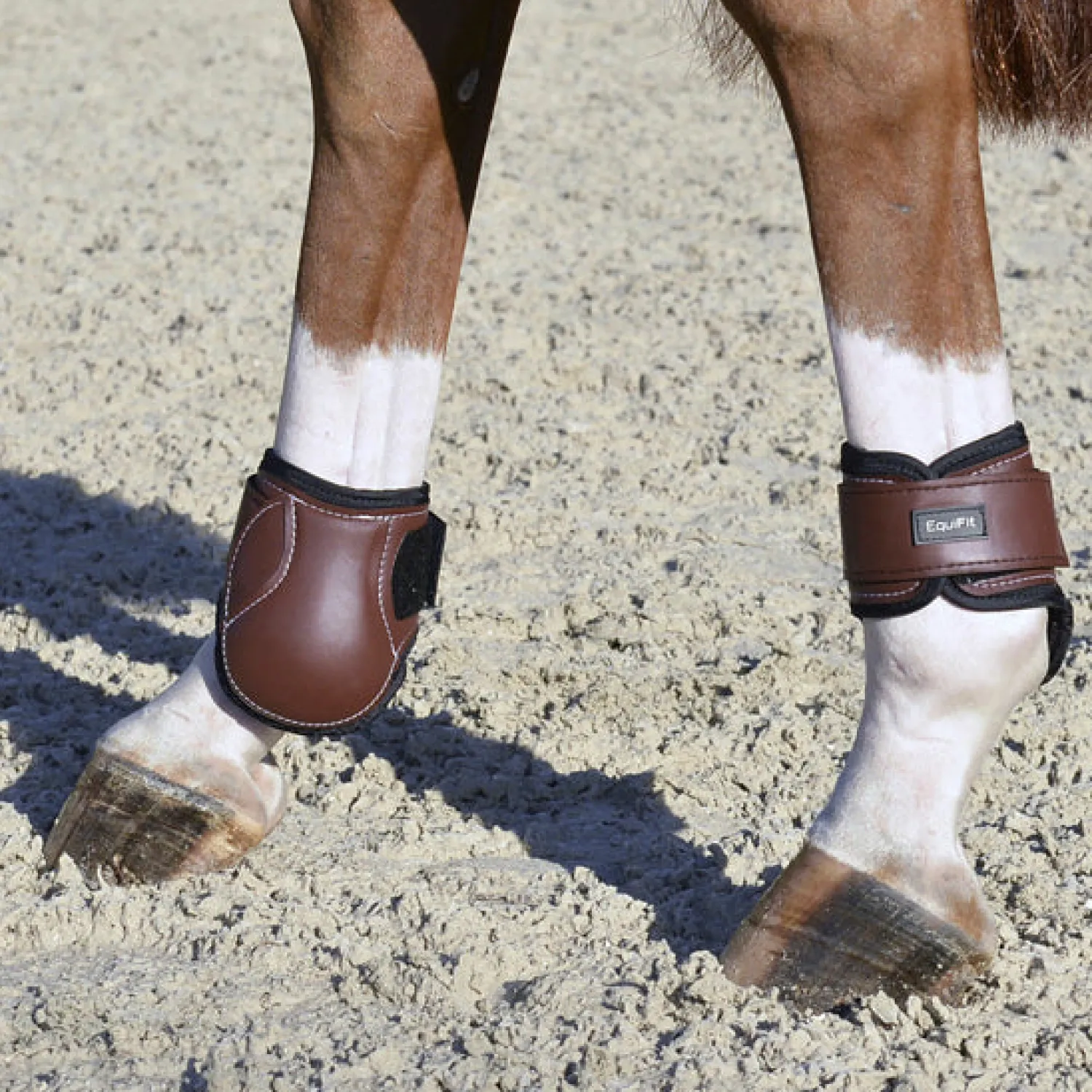 EQUIFIT ® Young Horse Boots with ImpacTeq® Hot