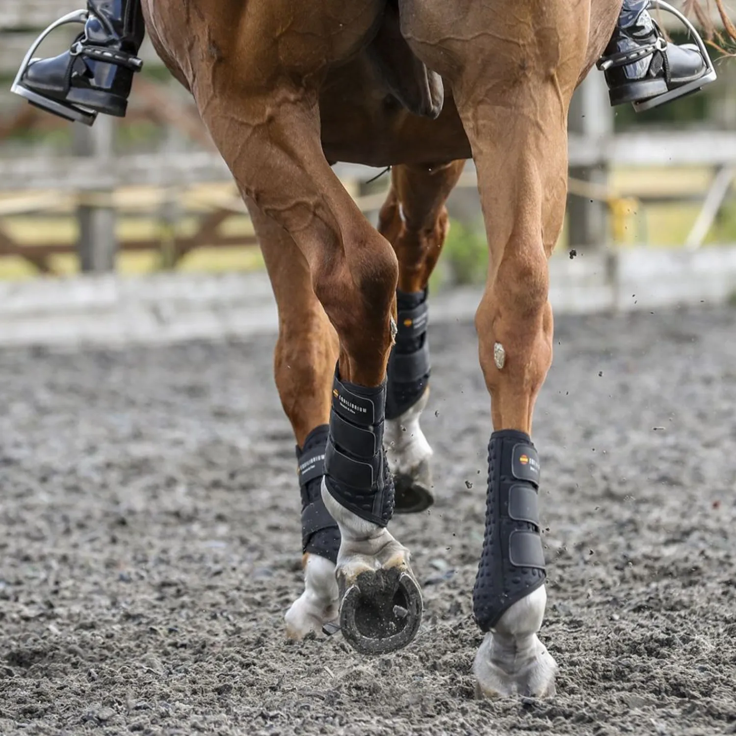 WORLD EQUSTRN BRNDS Equilibrium Stretch & Flex Training Wraps Clearance