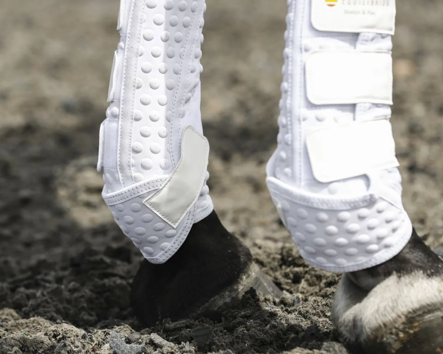 WORLD EQUSTRN BRNDS Equilibrium Stretch & Flex Training Wraps Clearance