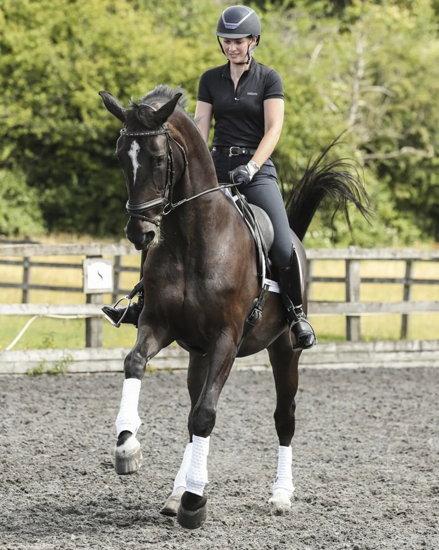 WORLD EQUSTRN BRNDS Equilibrium Stretch & Flex Training Wraps Clearance