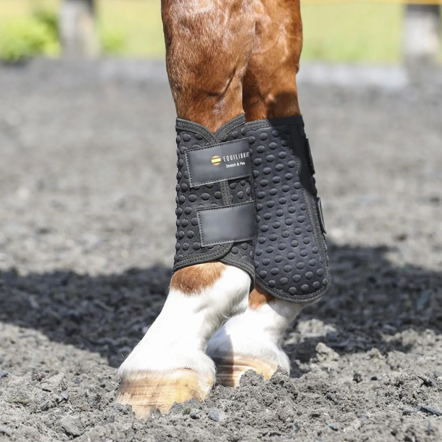 WORLD EQUSTRN BRNDS Equilibrium Stretch & Flex Flatwork Wraps New