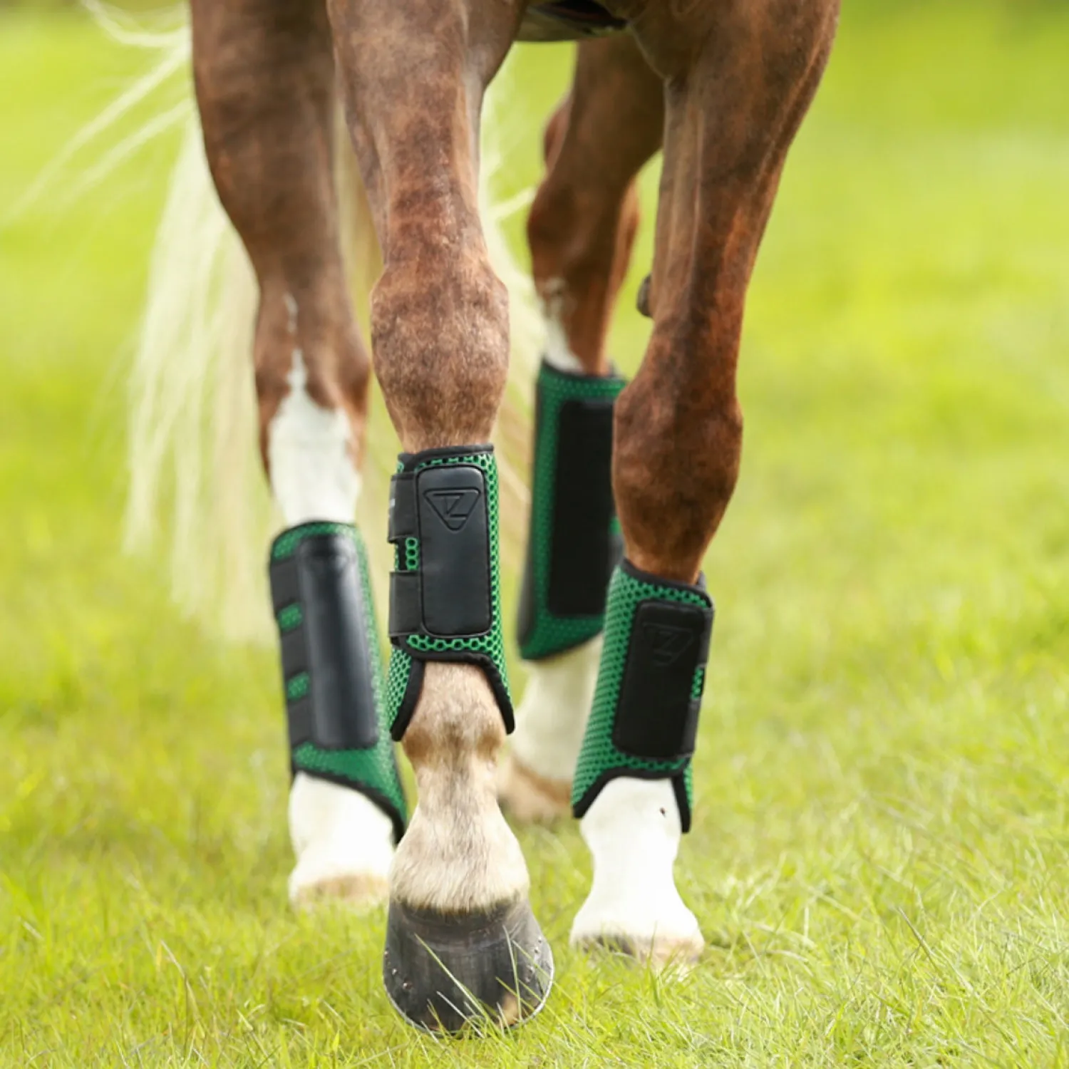 WORLD EQUSTRN BRNDS Equilibrium Tri-Zone Impact Front Boots Best