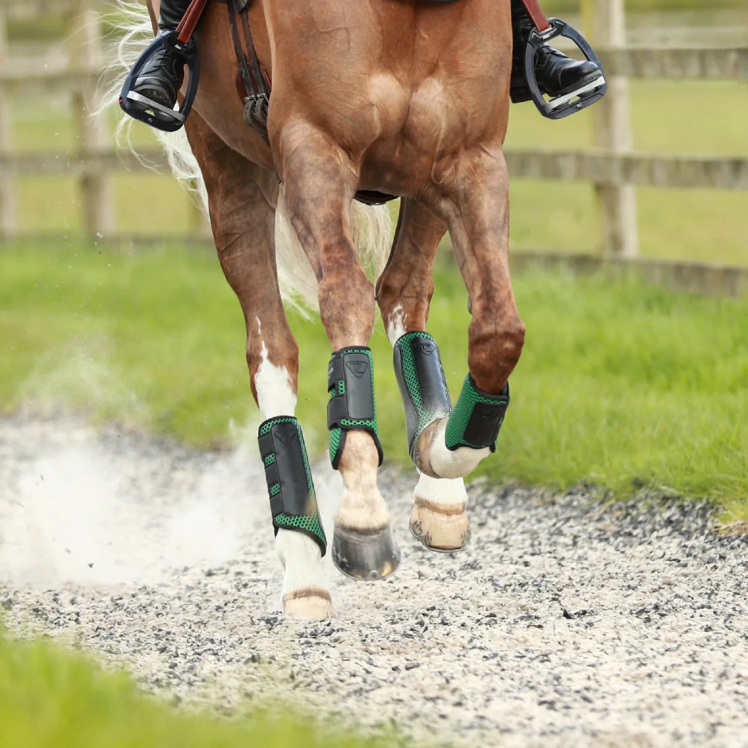 WORLD EQUSTRN BRNDS Equilibrium Tri-Zone Impact Front Boots Best