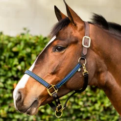 EQUINAVIA Pegasus Ribbon Breakaway Halter Hot