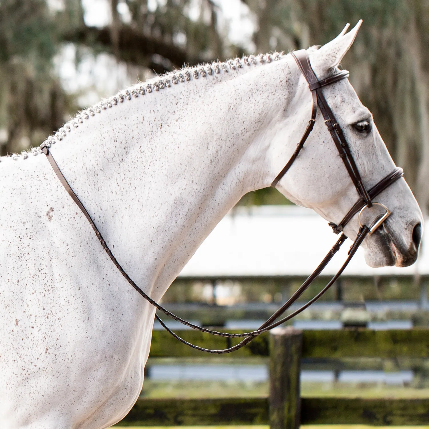 EQUINAVIA Valkyrie Fancy-Stitched Hunter Bridle & Reins Chocolate Brown Sale
