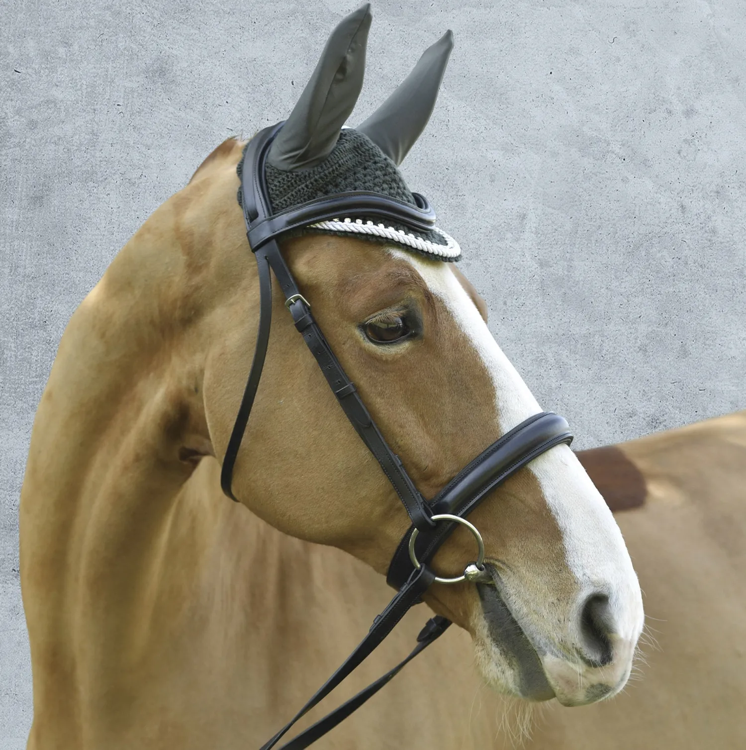 JPC EQUESTRIAN Equine Couture™ Fly Bonnet with Piping and Crystals Sale