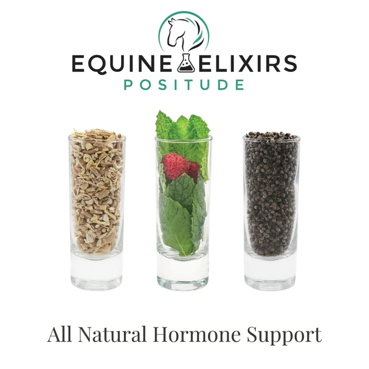 EQUINE ELIXIRS INC Equine Elixir Positude® Outlet