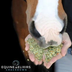 EQUINE ELIXIRS INC Equine Elixirs Crackdown® Outlet