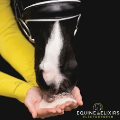EQUINE ELIXIRS INC Equine Elixirs Electrofresh Sale