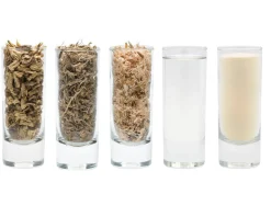 EQUINE ELIXIRS INC Equine Elixirs Slimer Liquid Gastric Support Outlet