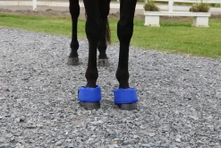 EZ ICE Hoof - Founder Pack Blue New
