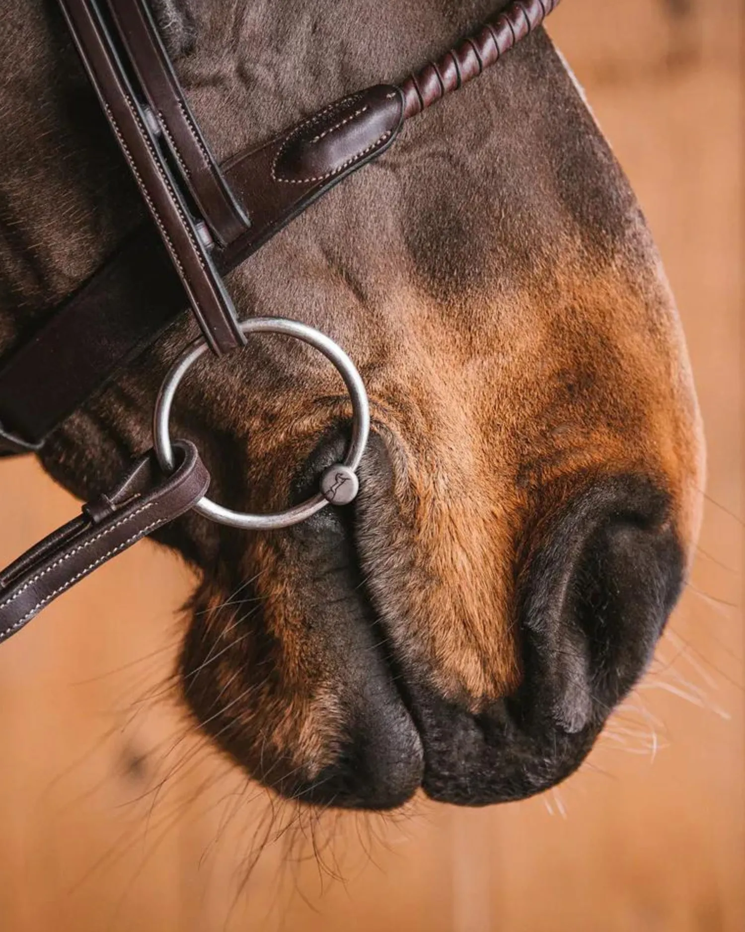 ELITE EQUESTRIAN SUP Fager Emil Titanium Loose Ring Bit, 16mm Mouth Online