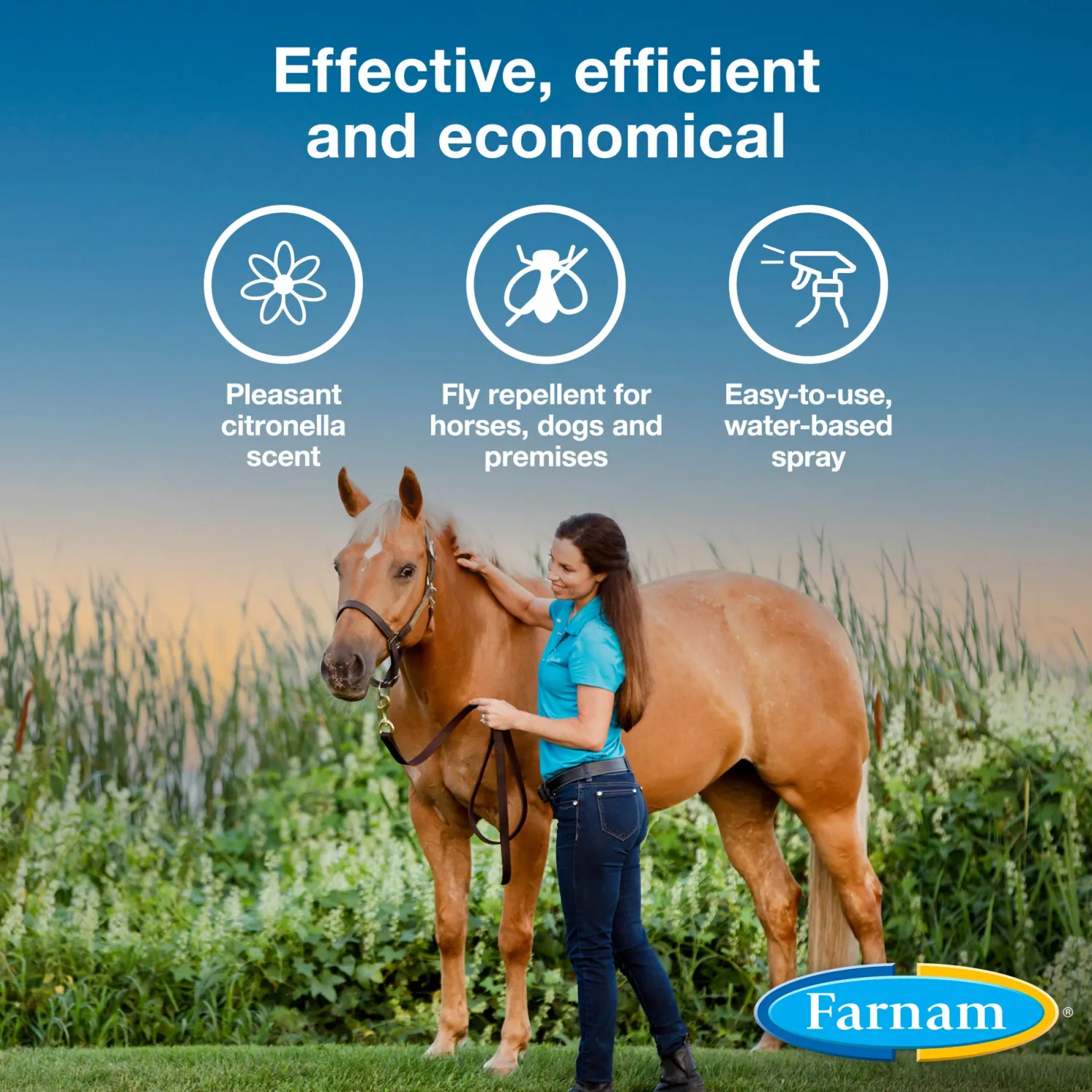 ANIMAL HEALTH INT Farnam® Bronco® E Fly Spray Sale