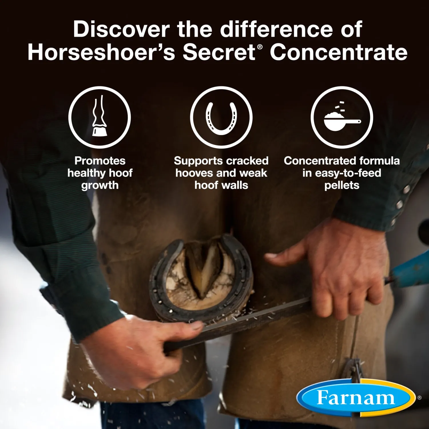 ANIMAL HEALTH INT Farnam® Horseshoer’s Secret® Concentrate Pelleted Hoof Supplement