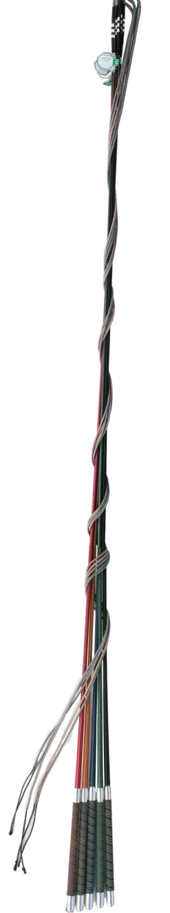 FLECK GMBH CO Fleck® Color Lunge Whip Online