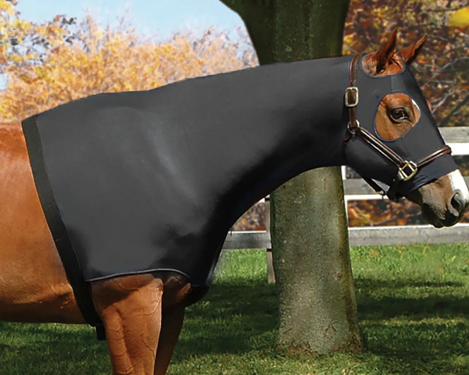 INT RIDING HELMET Flex Rider® Stretchies™ Hood Hot